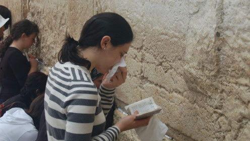 娱乐吃瓜君堂主