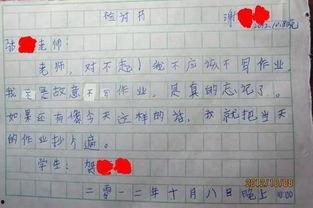 娱乐吃瓜酱检讨书,反思与成长之路